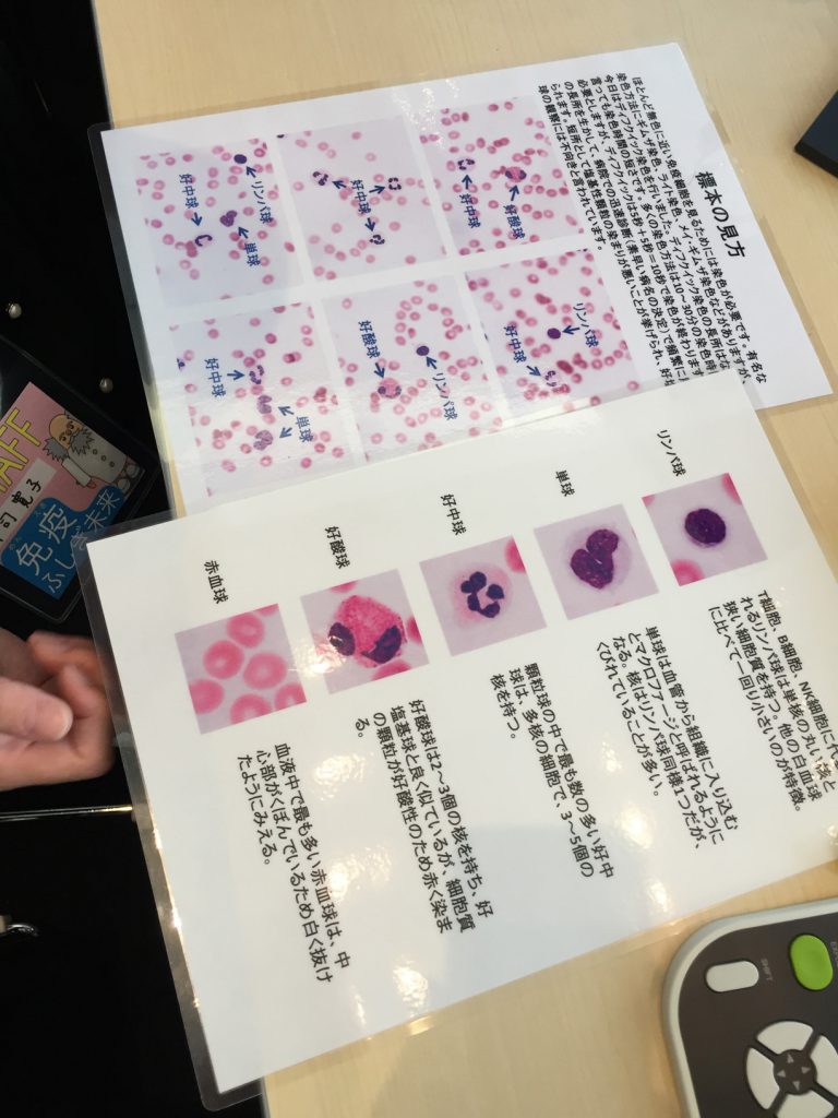 免疫学のワークショップで顕微鏡で血液